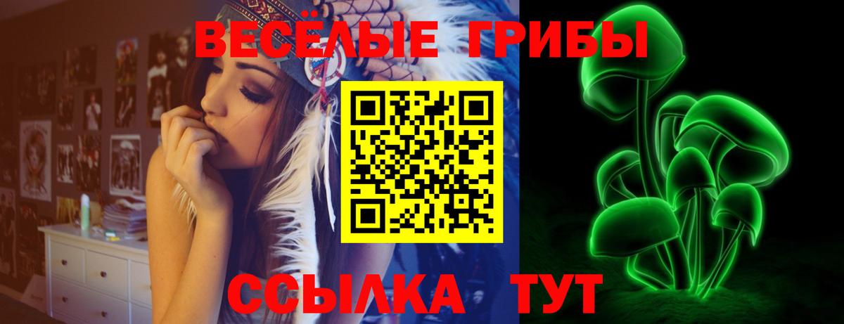 Псилоцибиновые грибы MAGIC MUSHROOMS Протвино